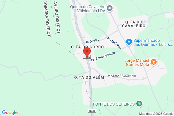 António Cerejeira