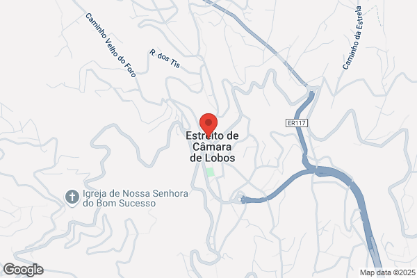 Quintino Alves Jardim Unipessoal Lda