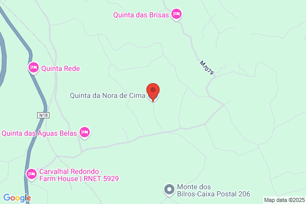 Antanio De Jesus Mendes