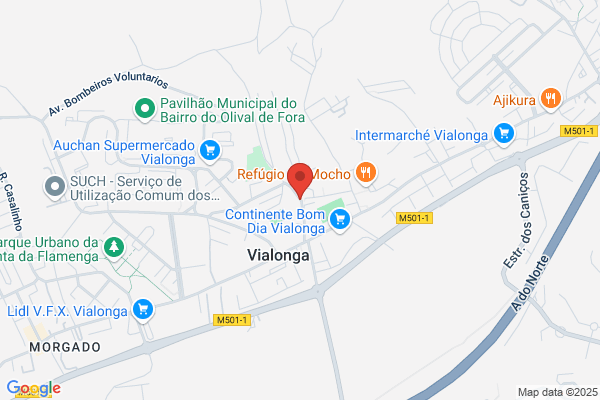Ana P E R Vaz Cardoso