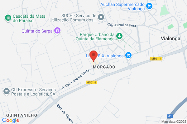Daso M Bexiga Catarino
