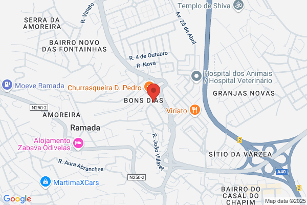 Maria Aparecida Armendane