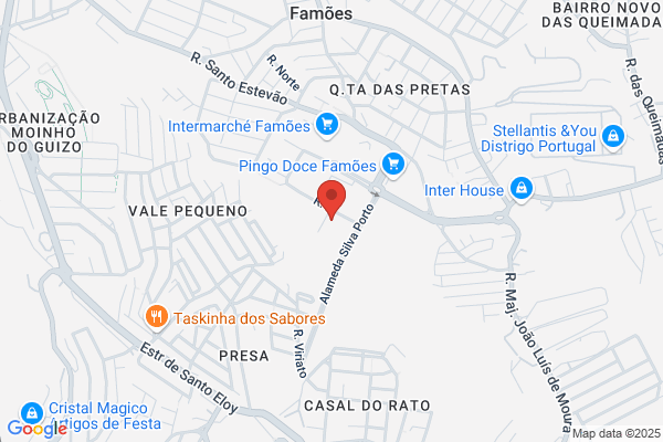 Tomé J Cruz Nunes