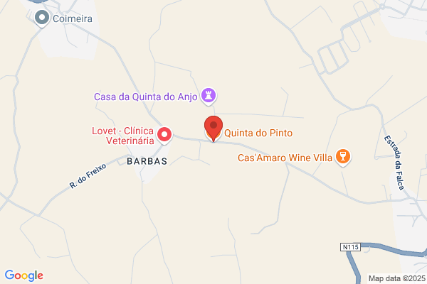 Cäido Pinto Fernandes