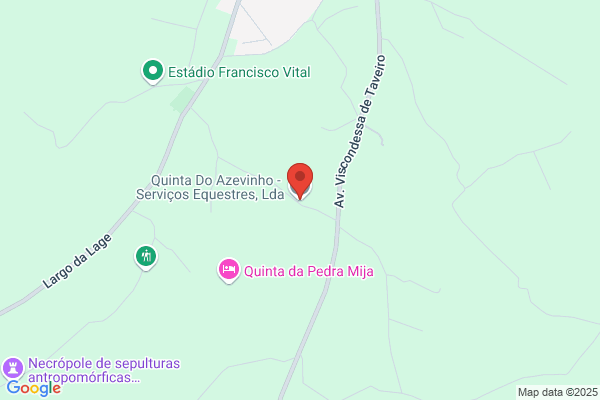 Quinta Do Azevinho-Serviços Equestres Lda