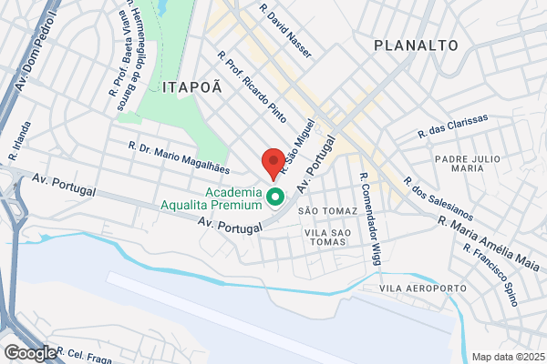 Ana P Fonseca Gonçalves