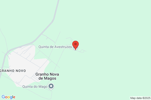 C G A-Comercio Geral De Avestruzes. Lda