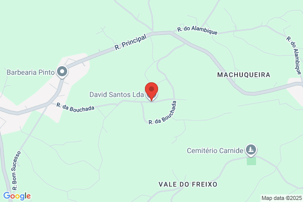 David M Alves Santos