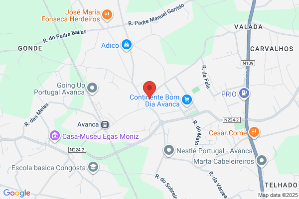 António M Martins Maia
