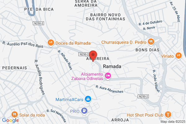 Ana Isabel Lopes Silva