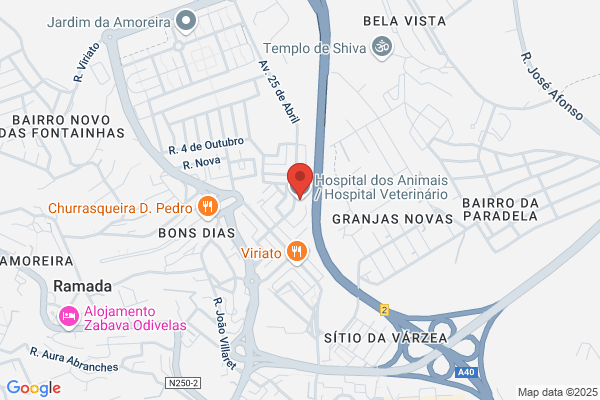 Hospital Dos Animais