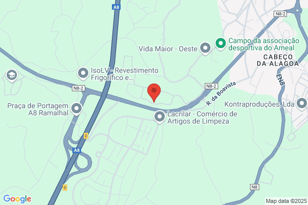 Eduardo J Perdigàferreira