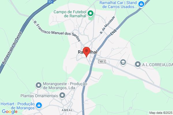 Fòica Igreja Paroquial Da Freguesia De Sàloureníramalhal