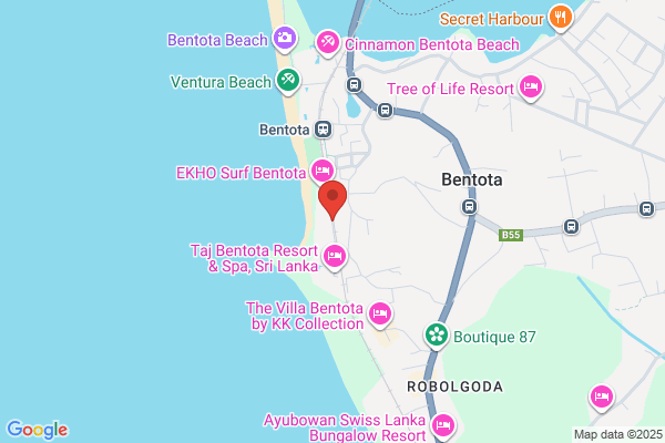 Fabiana Abrantes David
