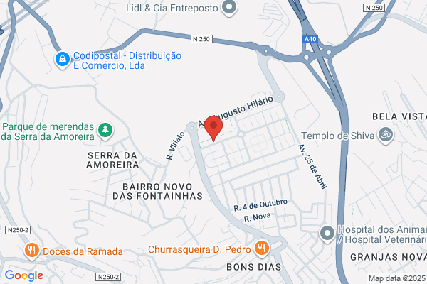 Damiana Pereira Neves