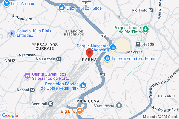 Luís A V D Ramos Afonso