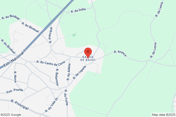 Ilia Courelas