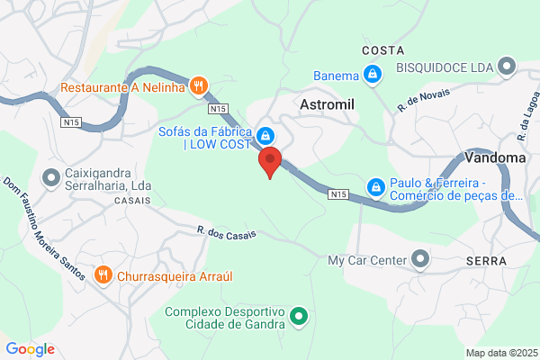 Rui A Almeida Bastos