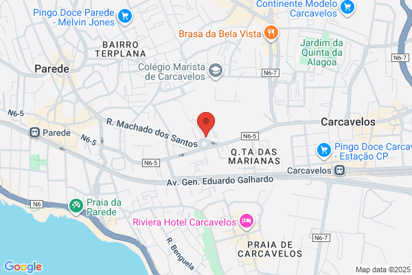 Instituto Medico Veterinario Da Parede. Lda