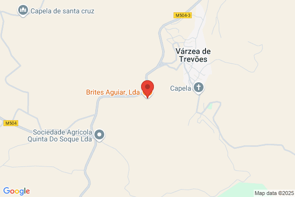 Agência Funerária Brites