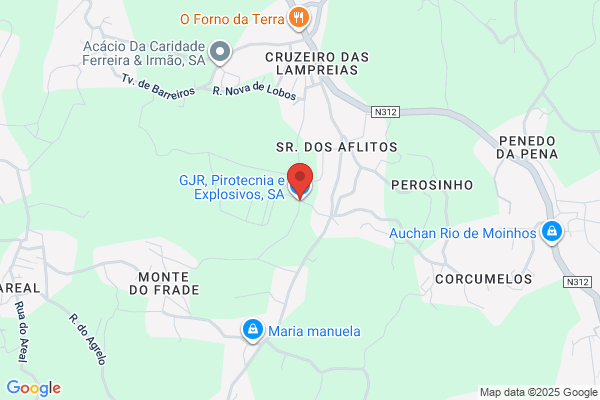 Gðol-Assistãia E Distribuiï De Gàunipessoal Lda