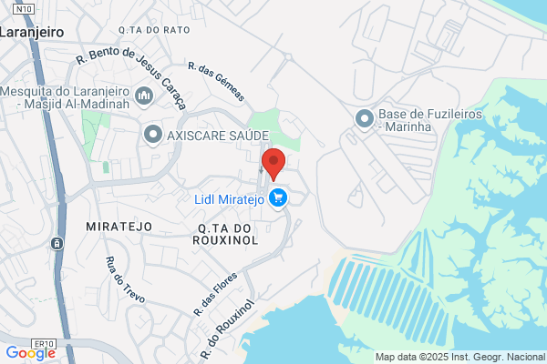 Elisabete M Silva Simü
