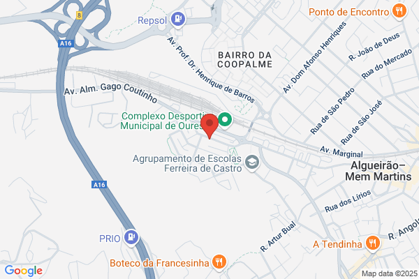 Ensaio Méco-Fisioterapia E Acupunctura