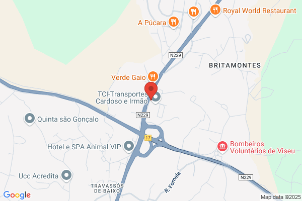 Constantino Cardoso & Irmao. Lda