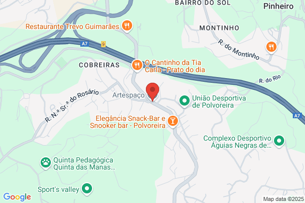 Maria F Sequeira Nogueira