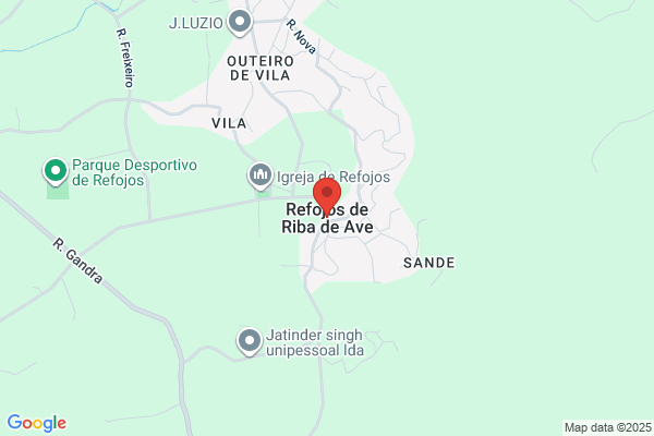 Carlos Gonialves Rocha Ribeiro