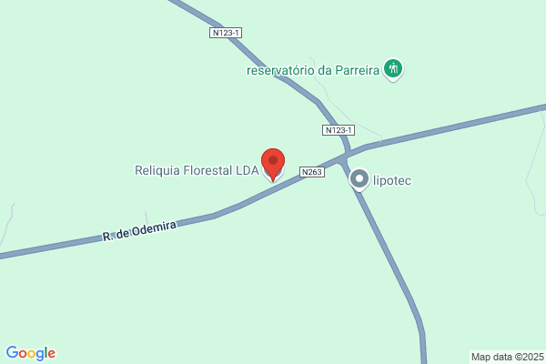 Reluia Florestal-Plantaï E Conservaï De Florestas Unipessoal lda