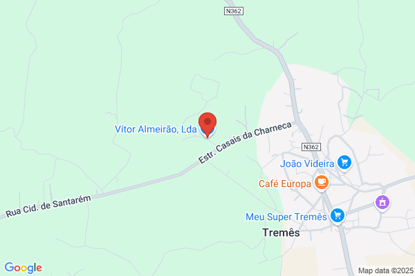Armando Vector Oliveira Silva Lestre