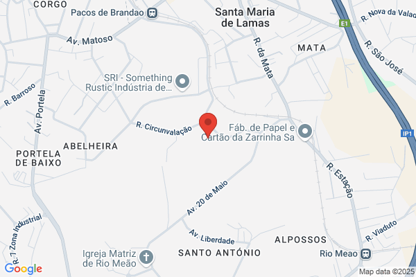 Nelson Coelho