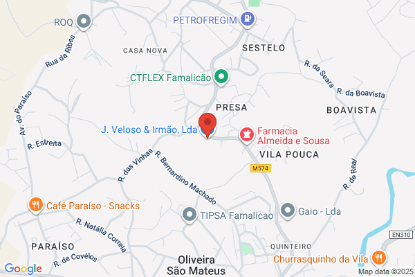 M F P Veloso