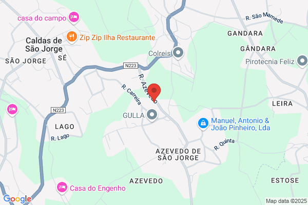 Alcides Ferreira Rodrigues