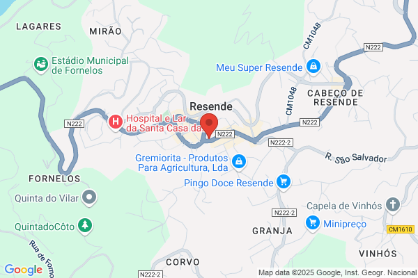 Maria Antania Cardoso Da Fonseca Pinto
