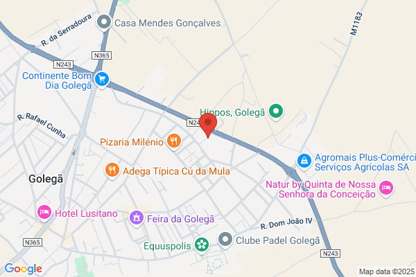 Joelle R T G Gama Barroso