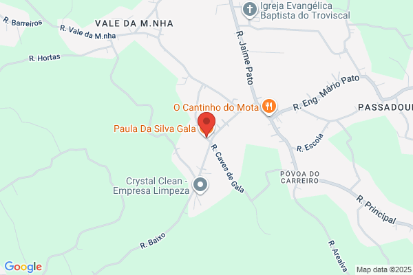 Paula L Silva Teodo