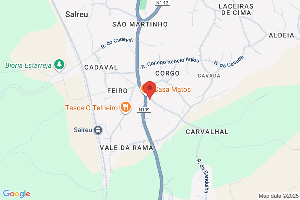 Maria L G F Arruda Teixeira