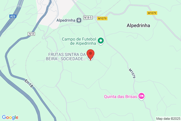 Alfredina De Snogueira