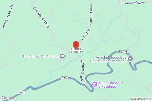 Alfredina M P S Sá Nogueira