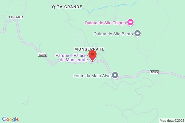 Méo M P Mota Raposo