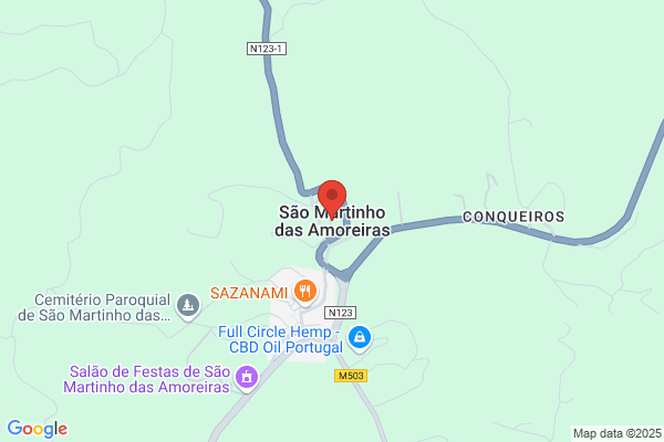 Fernando Henrique Guerreiro