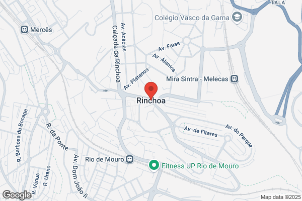 Ensaio Méco-Fisioterapia E Acupunctura