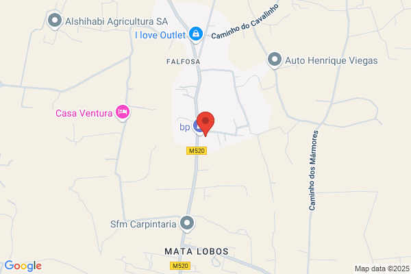 Pafegícomãio De Combuståis E Lubrificantes Lda