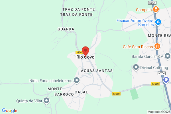 Carlos Gomes Ferreira