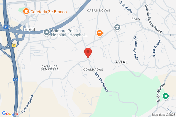Jorge Anto Semelhe De Carvalho