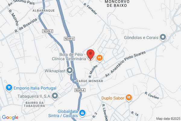 Clínica Veterinária Da Rinchoa
