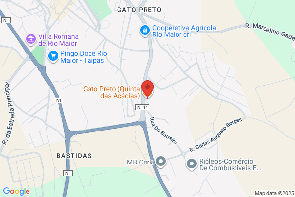Espingardaria Leao Douro