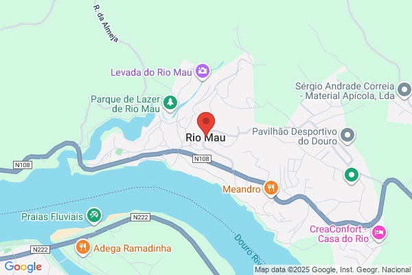 Ana P R A Ferreira Cruz